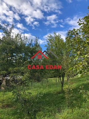 Teren extravilan in Brebu(Pietriceaua)--9104mp--50.000e - imagine 10