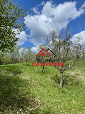 Teren extravilan in Brebu(Pietriceaua)--9104mp--50.000e - imagine 12