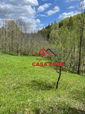 Teren extravilan in Brebu(Pietriceaua)--9104mp--50.000e - imagine 13