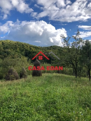 Teren extravilan in Brebu(Pietriceaua)--9104mp--50.000e - imagine 8