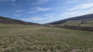 Teren extravilan de vânzare   Valea Chiejdului, Dej - imagine 3