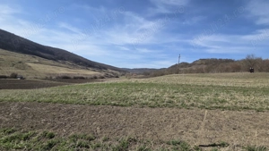 Teren extravilan de vânzare   Valea Chiejdului, Dej - imagine 2