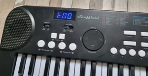 Orgă Pian Stare Nouă 