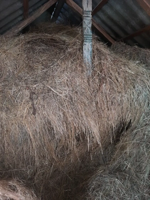 Fân de vânzare  - imagine 2