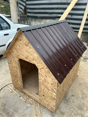 Vand cotet caine - orice dimensiune la cerere