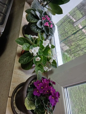 1cam maz.1 et2 mob.utilat  300euro - imagine 6