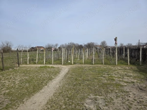 Vand casa comuna Celaru, sat.Soreni ,jud.Dolj - imagine 5