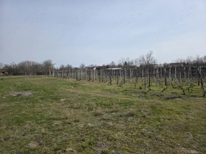 Vand casa comuna Celaru, sat.Soreni ,jud.Dolj - imagine 6