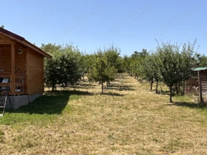 Vând teren intravilan cu cabană de vacanță și livadă - imagine 2