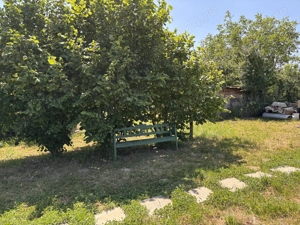 Vând teren intravilan cu cabană de vacanță și livadă - imagine 3
