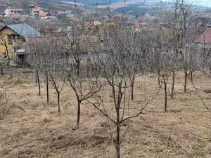 Casă de vânzare  - imagine 7