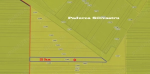Teren agricol extravilan de vanzare- 1 euro  m.p. - imagine 4