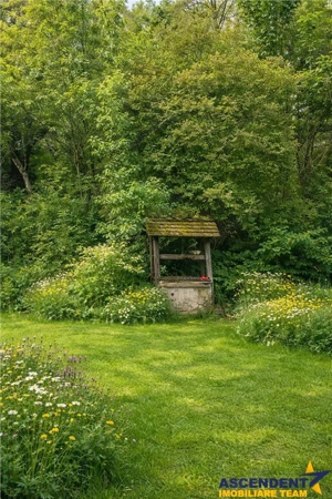 Domeniu verde autentic,  +5.000mp, front la DJ, Valcele, Brasov -- Covasna - imagine 2