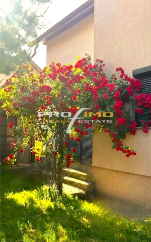 LAZU vila P+M, deosebita, ideala familie, 4 camere, facilitati multiple