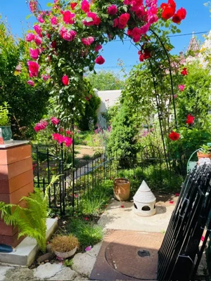 Vand casa ultracentral - imagine 4