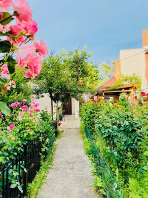 Vand casa ultracentral - imagine 2