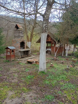 Proprietate deosebită Gurahonț, jud. Arad - imagine 4
