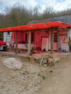 Proprietate deosebită Gurahonț, jud. Arad