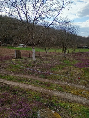 Proprietate deosebită Gurahonț, jud. Arad - imagine 2