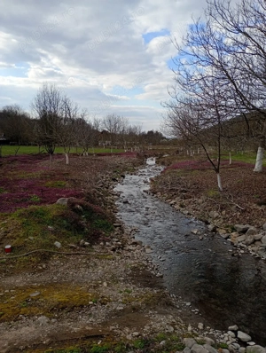 Proprietate deosebită Gurahonț, jud. Arad - imagine 6