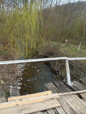 Proprietate deosebită Gurahonț, jud. Arad - imagine 9