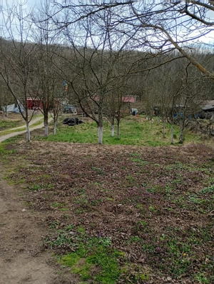 Proprietate deosebită Gurahonț, jud. Arad - imagine 10