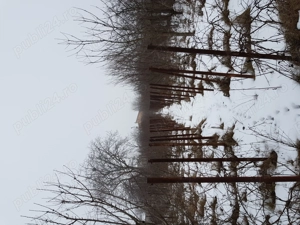 Teren 2.000 mp Domnești   zonă centrală, utilități, ideal investiție, acces direct T. Vladimirescu - imagine 2