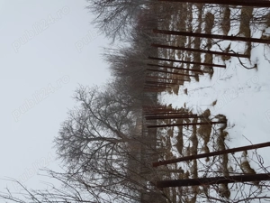 Teren 2.000 mp Domnești   zonă centrală, utilități, ideal investiție, acces direct T. Vladimirescu - imagine 4