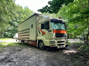 Camion apicola MAN 18 tone - imagine 4