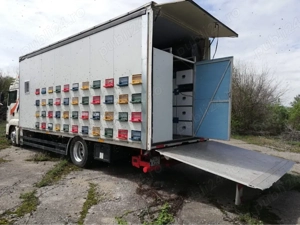 Camion apicola MAN 18 tone - imagine 3