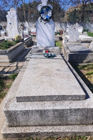 Vând loc de veci in cimitir calea sagului 