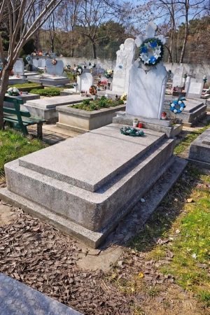 Vând loc de veci in cimitir calea sagului  - imagine 2