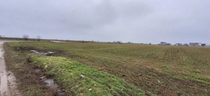 Teren Ilfov com Berceni - imagine 3