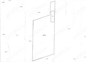 Teren de vanzare Tonea