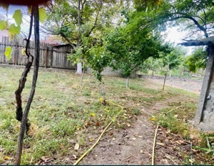 Casă cu teren mare 1230 mp în Nădlac, Arad   3 camere, gaz, front 40 m - imagine 4