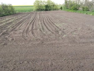 vand casa plus teren - imagine 2