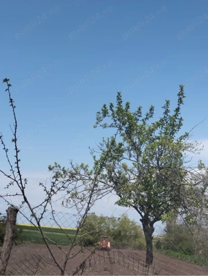 vand casa plus teren - imagine 3