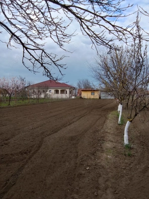 vand casa  la  30  km te tm - imagine 6