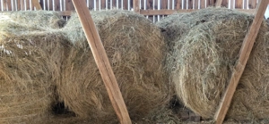 Vând baloți rotunzi de fân 160x120