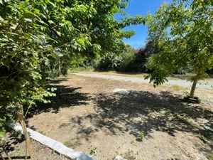 Vilă dată în administrare - imagine 3