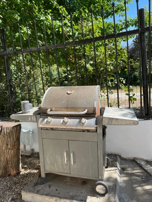 Vilă dată în administrare - imagine 2