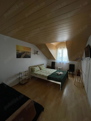 Vilă dată în administrare - imagine 7