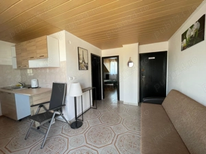 Vilă dată în administrare - imagine 9