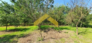 Casa la sol de vanzare Timisoara, zona Mehala - imagine 2