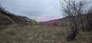 Teren de vanzare in Brebu - Raul Doftana - imagine 4