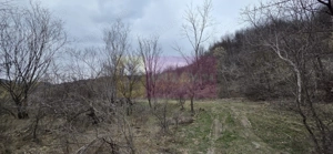 Teren de vanzare in Brebu - Raul Doftana - imagine 5