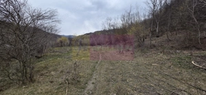 Teren de vanzare in Brebu - Raul Doftana - imagine 3