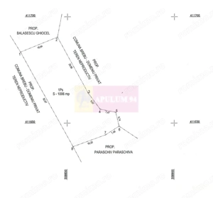 Teren de vanzare in Brebu - Raul Doftana - imagine 7