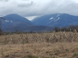 Teren de vanzare - imagine 3