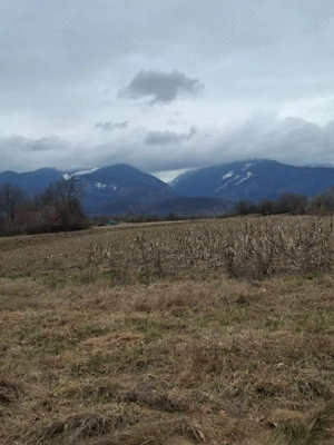 Teren de vanzare - imagine 2